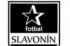 TJ Tatran Litovel - FK Slavonín 2:0 (1:0)